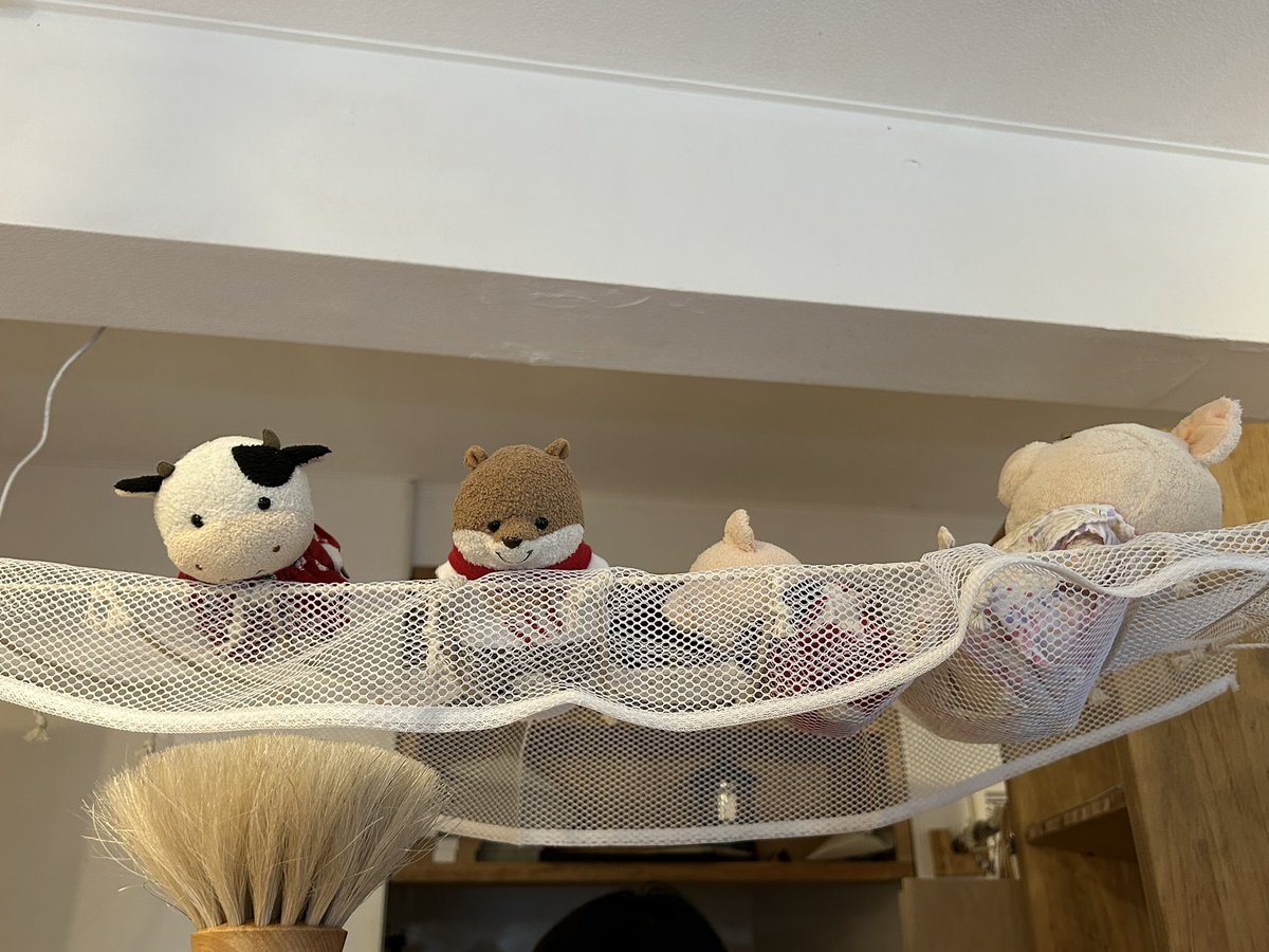 decoboco9122's tweet photo. シ🥭おーーいおーーい
ちぼ🐮ヤッホー https://t.co/xsI3N8EdNl