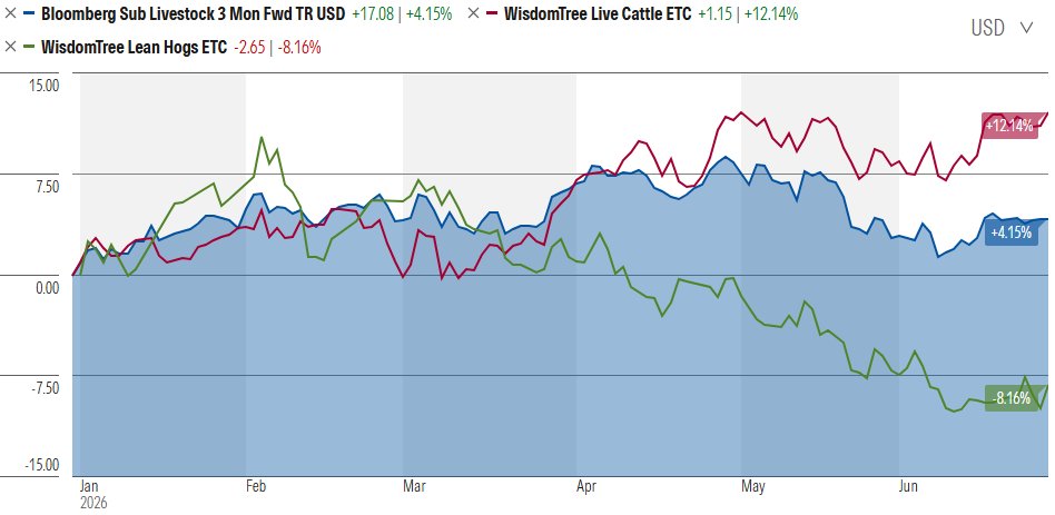 OribiCP's tweet photo. The Daily Graze 26 June 2026: Cattle + Lean Hogs: 
5 years / YTD / 1 month:
#CATL #HOGS