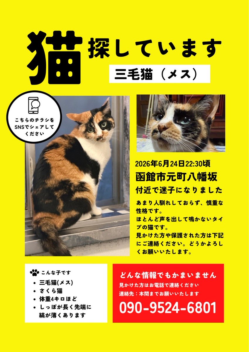 goronyanyan's tweet photo. 函館市で迷子です。
ご協力どうぞよろしくお願いいたします🙇‍♀️🙇‍♀️ https://t.co/yHElo0Z6Or