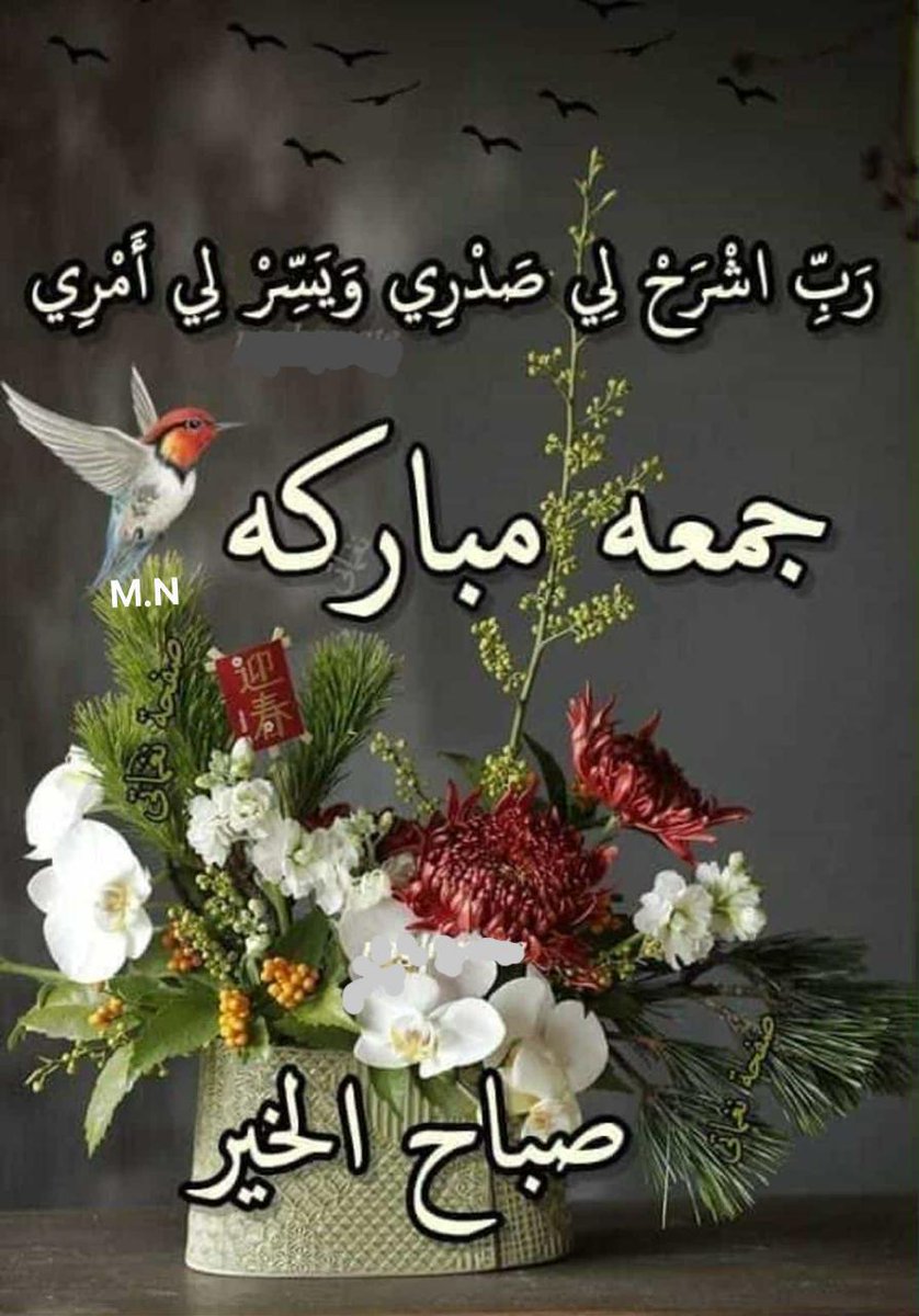 JackWater001's tweet photo. @Loolitaaa_Kurdi https://t.co/yJmRsCJ5JO