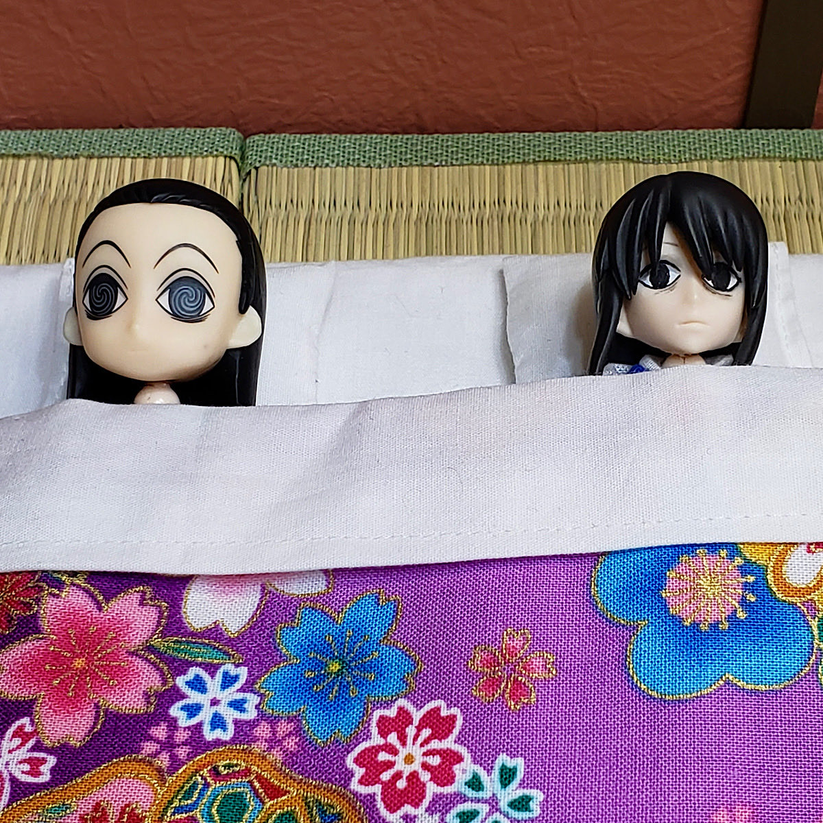 whitegintoki's tweet photo. #桂小太郎誕生祭2026  
#桂小太郎生誕祭2026  
#銀魂  
#オモ写 
『眠れないアル…』と神楽ちゃんが呟く隣でなぜか同じお布団に入っているイルミとヅラ💙お誕生日🎁にずっと作りたかった《目を見開いたヅラの寝顔》をプレゼントしました❣️それにしてもこの3人似てる🤣 https://t.co/lMCPIguRBv