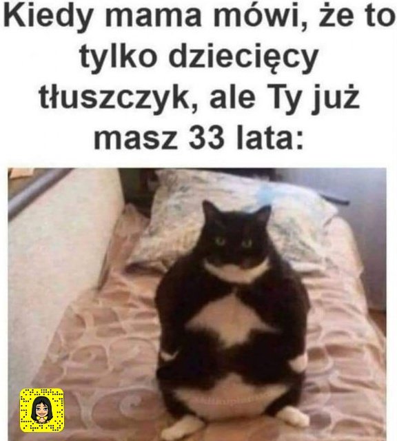 TodaysMem's tweet photo. #dailymemes #memy #mem #memes https://t.co/UoQC0t49EY