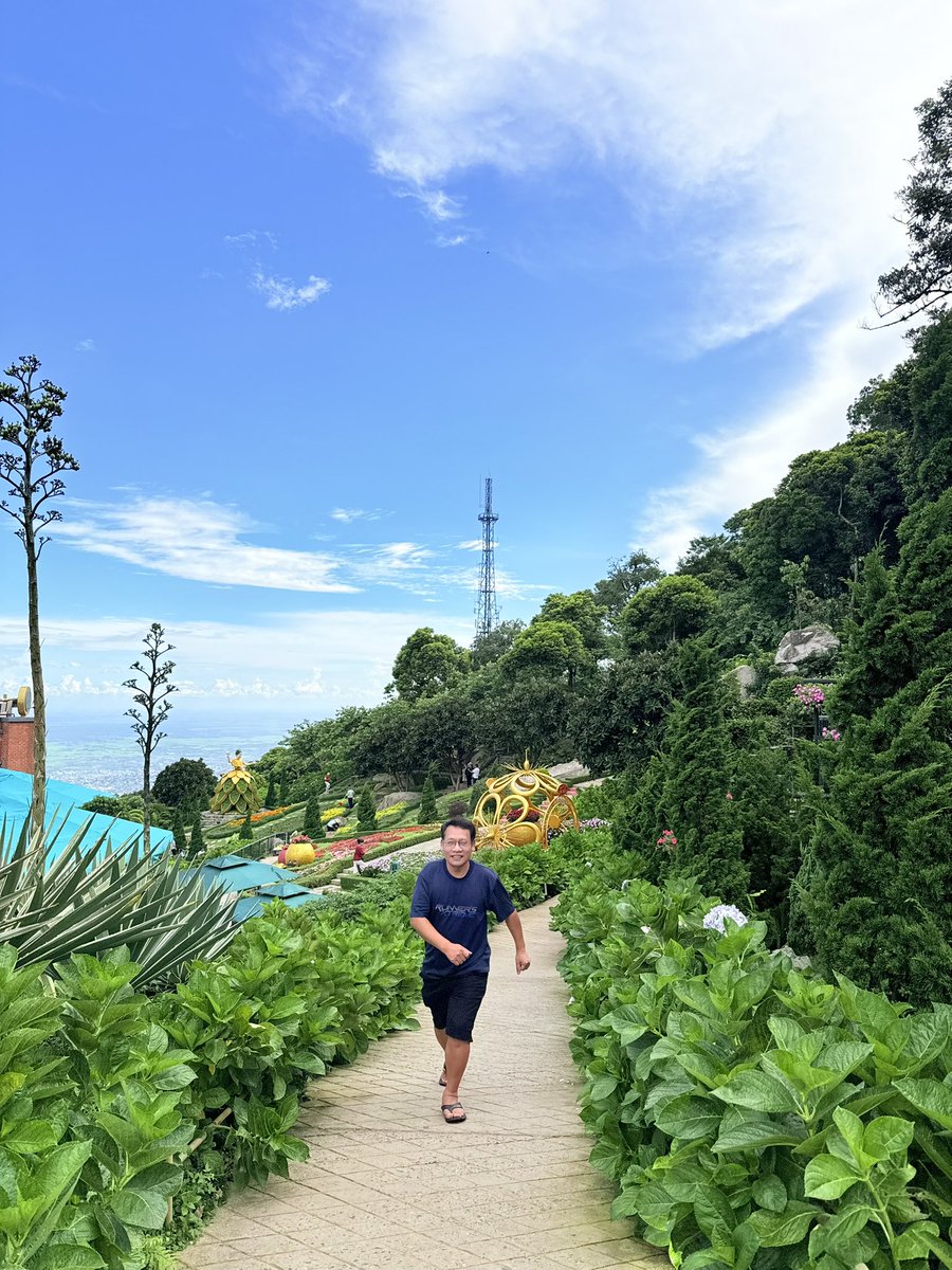 thshaivan's tweet photo. Walking of life… https://t.co/gr2NtTXy93