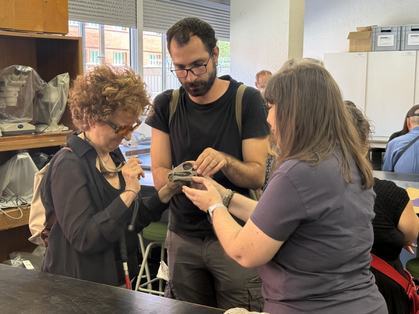 ONCE_oficial's tweet photo. ¡Sintiendo el pasado, el presente y el futuro de la Tierra al tacto!

Conocimiento en la palma de la mano: geología inclusiva en la facultad @geologicasUCM 
15 personas con #sordoceguera aprenden geología y paleontología de la mano de los investigadores y con el apoyo de los #mediadores de la Fundación #ONCESordoceguera 

https://t.co/bchiOVD2Mr 

#CogeMiMano #ManosQueNosHablan #PersonasSordociegas #GeologíaInclusiva