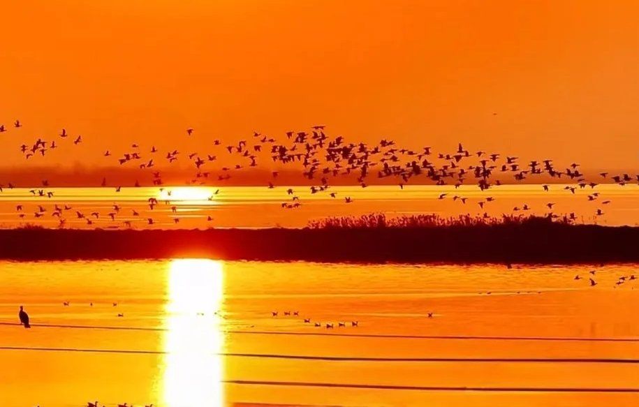 taraandrewss's tweet photo. [Our campus photography club is hosting a sunset shoot at the lake this Friday at 6PM! Bring your camera and creative ideas—beginners welcome! Tag a friend who’d love to join!]， https://t.co/sCHlgLWzuT