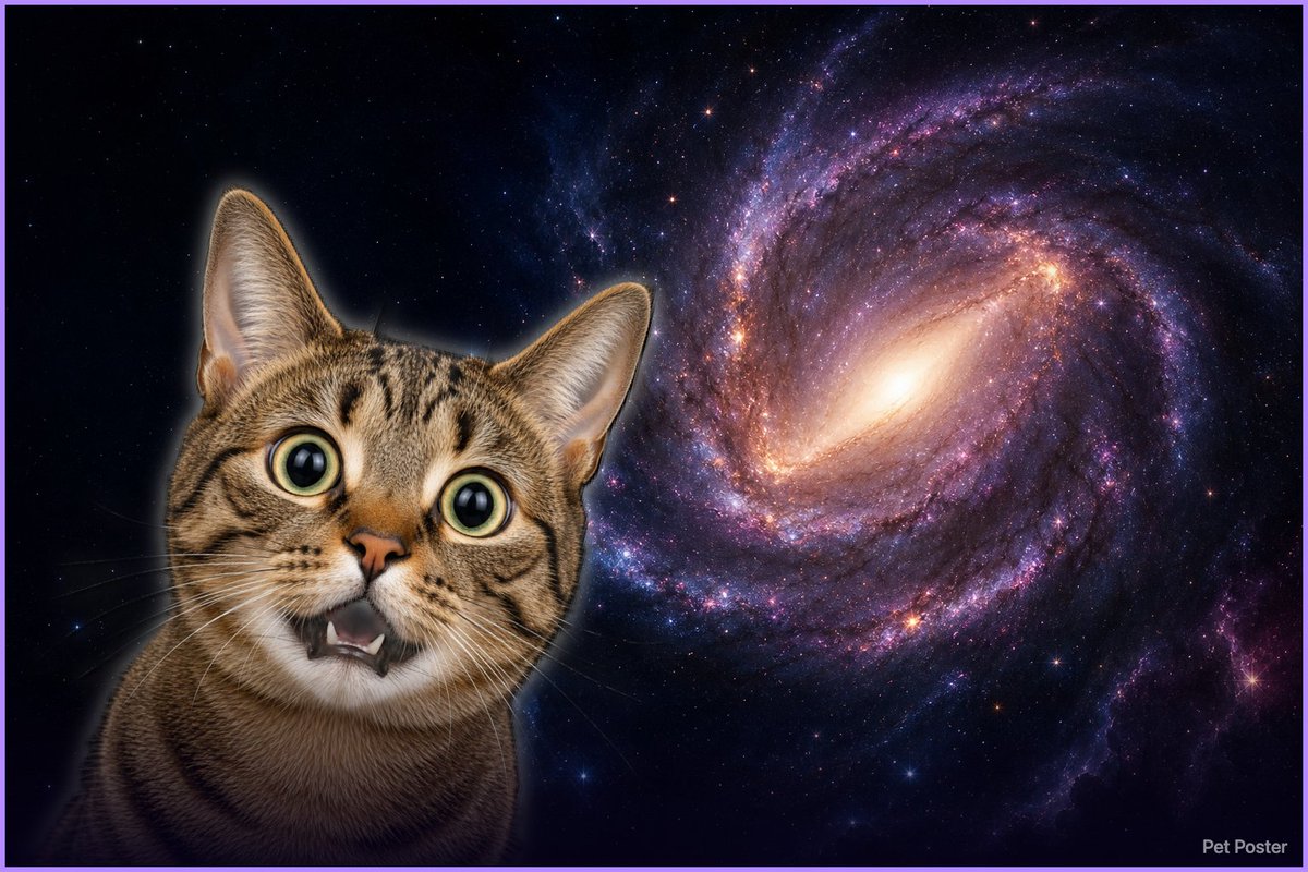 bbsience1's tweet photo. 自分のペットの画像をアップロードすると、
宇宙猫や映画ポスター風画像などを作れるページを作りました。
https://t.co/T1qsWPiVIT https://t.co/3dq64H9bkS