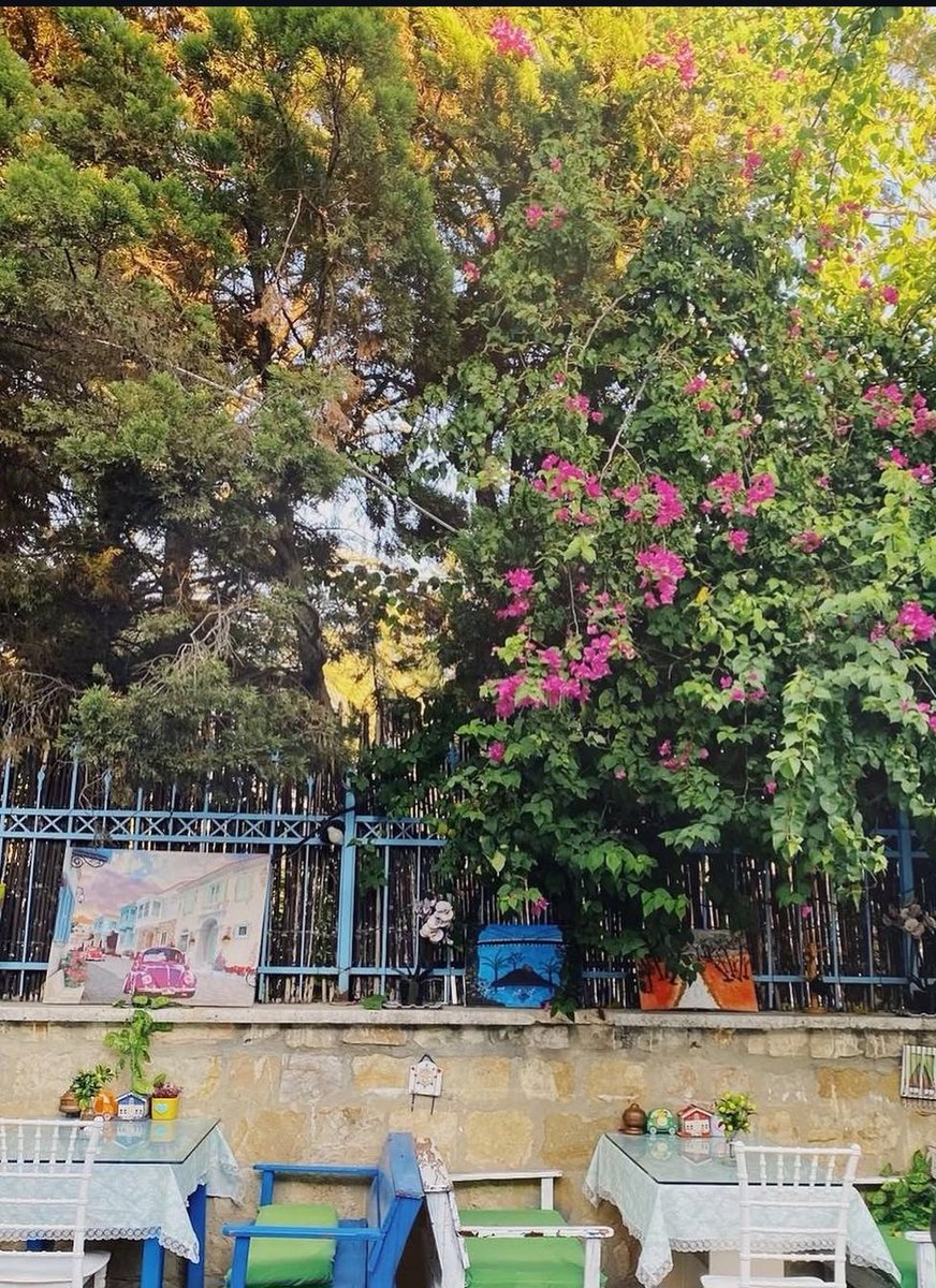 Velune017's tweet photo. Kendi hayatının ressamıdır her insan kendine hak ettiğin hayatı çiz 
Kalem senin elinde🫶🕊🌱☕️
#Cuma
#hayatısev
#mottom https://t.co/5PL3s7qJl6