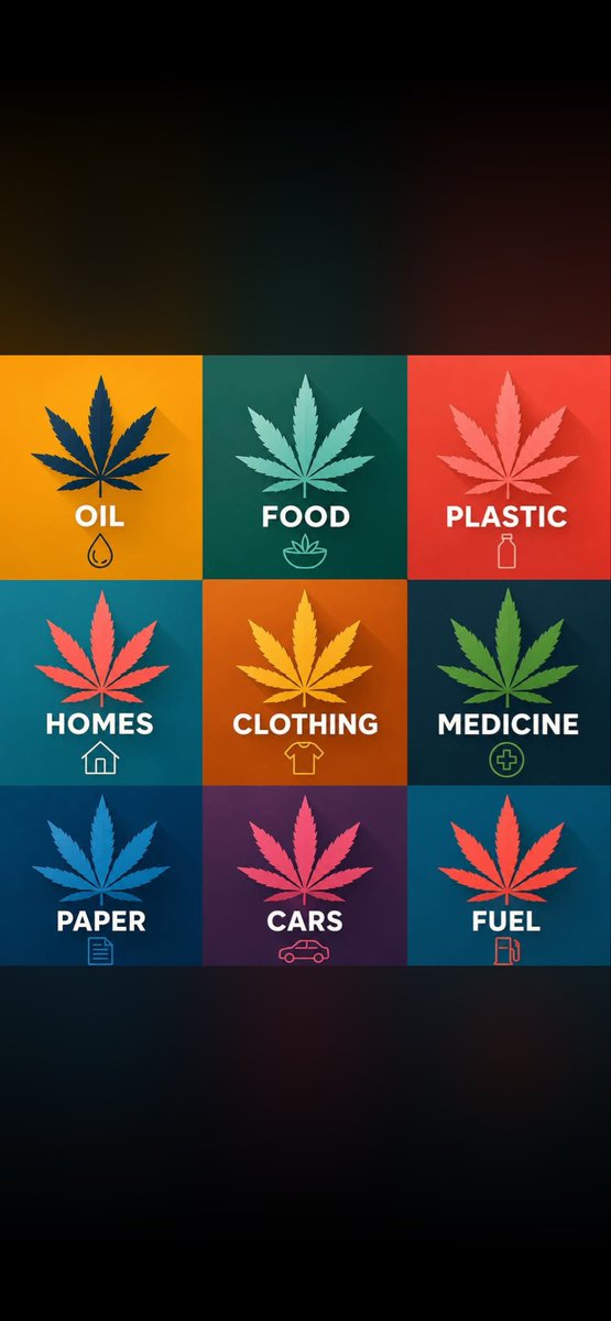 Williewortels's tweet photo. @TheoJans1 Ach ja Theo iets van bord hun kop hieronder afbeelding en vooral tegen het plantje blijven stemmen iets met gevaarlijke drugs dus ROT OP met je klimaatgedram de grote heren vervuilen en de schapen 🐑 mogen het weer gaan betalen welkom in de  #poppenkast https://t.co/TEPnObO3Gt
