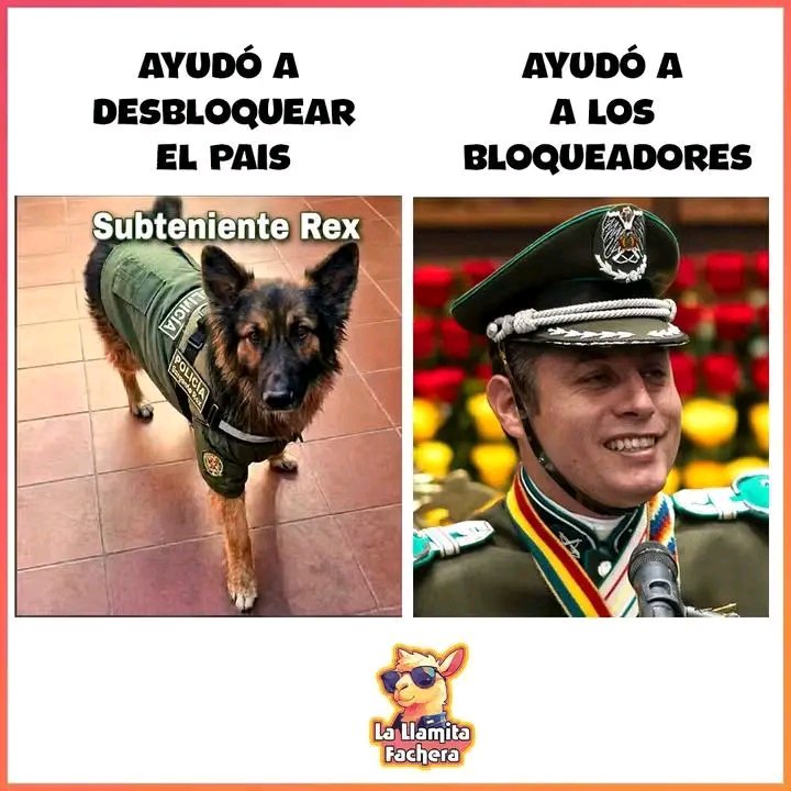elaywalker's tweet photo. Que diferencia no? cual es el animal??? https://t.co/BJLxJwnCEn