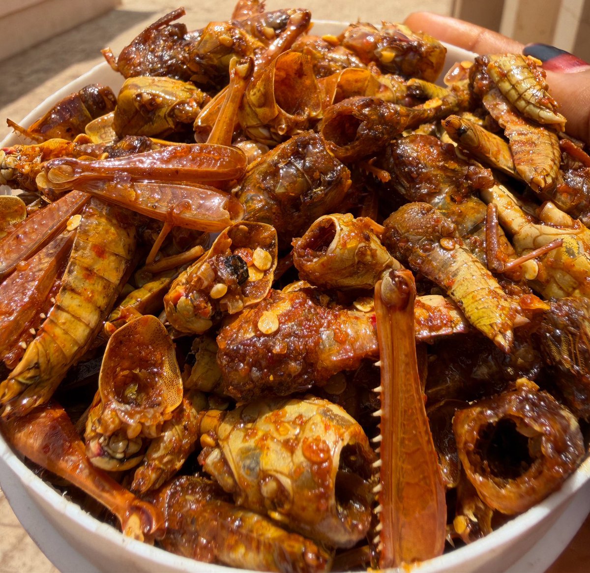 The_Umdazz's tweet photo. Ranar sallah kowa yana cin nama ni ina kokuwa da robar fara, sai da mama tace wai ke kinada hankali kuwa 😂😂

Fara lovers drop a picture of fara abeg 😋 https://t.co/zfrkWYRSto