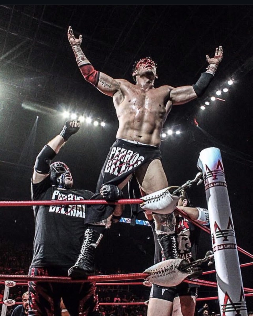 Daga_wrestler's tweet photo. Dónde están Perros ?! 
@WWE @luchalibreaaa #PerrosdelMal https://t.co/pPSm3ku3GC
