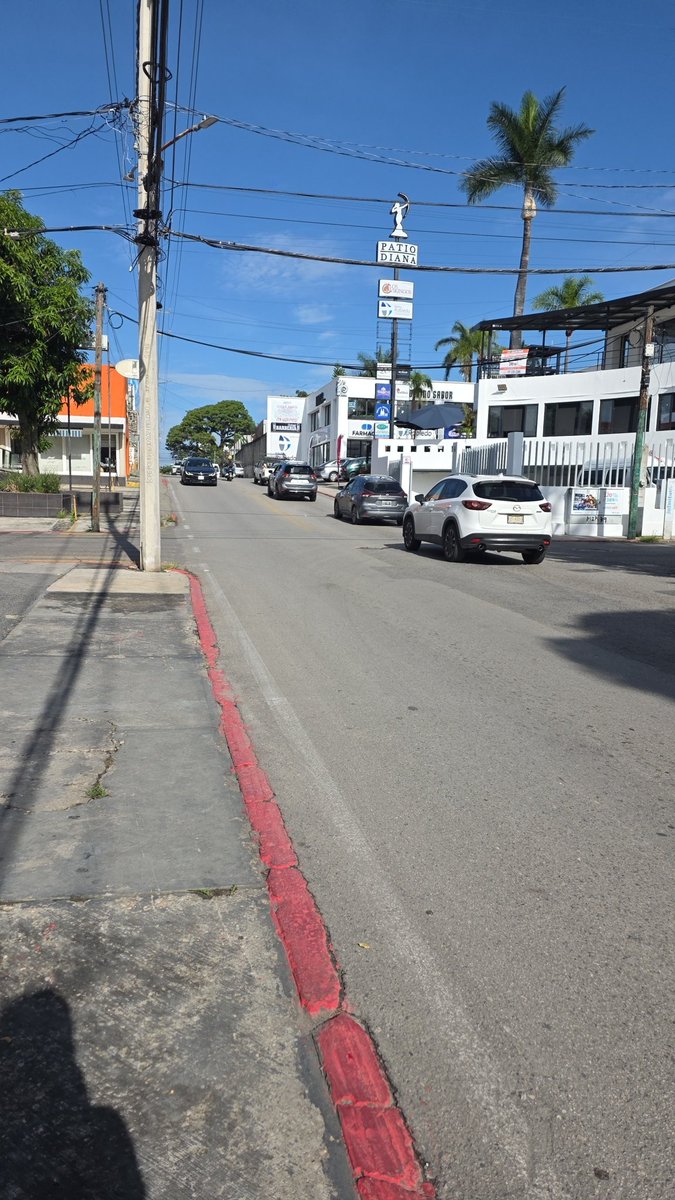 dan_sal07's tweet photo. Paseo matutino https://t.co/mY2v0eQr1l