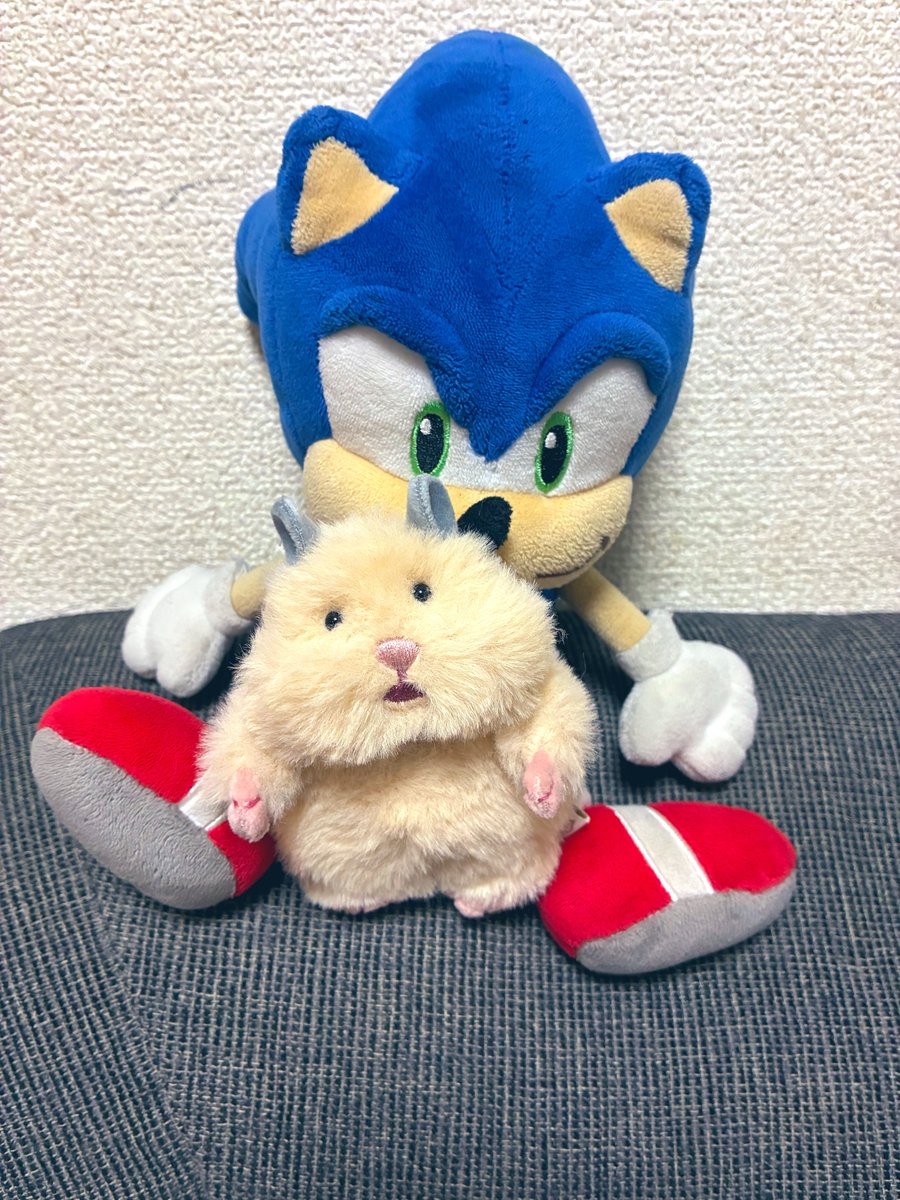 Ms_Virago's tweet photo. 結構時間かけてトリミングカットちまちましてたら、すごい小さなささやき声で「がんばれ…」って聞こえて振り返ったら7歳の次男君がうまくいくようにお祈りしてくれてた😂
寝る前に「ぼんちゃん！うちの家族はみんな優しいからね！大丈夫っ！」と声かけていた🥹やさしい…♡ https://t.co/KzYc8yDskm
