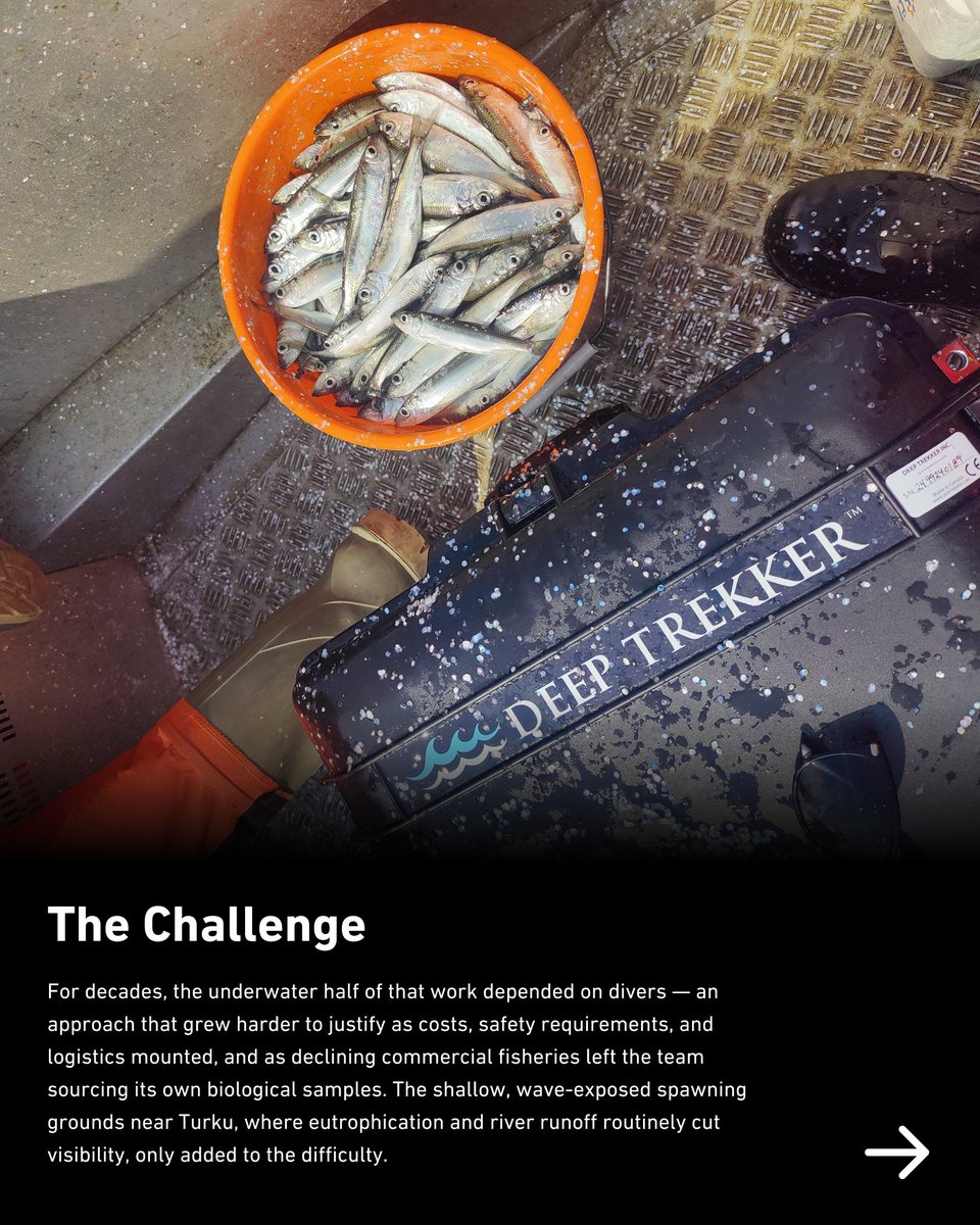 deeptrekker's tweet photo. For 40+ years, the Archipelago Research Institute has tracked Baltic herring spawning. To cut costs, they added the PIVOT &amp; PHOTON ROVs to boats already running twice weekly, more survey trips, a growing video archive, no extra expeditions.

#DeepTrekker https://t.co/4KNPPbSizl