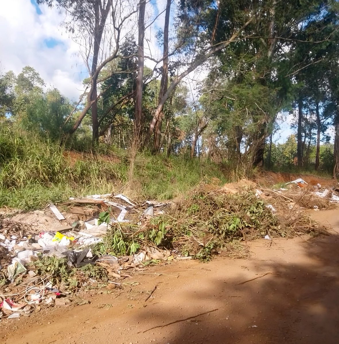 DMLU_POA's tweet photo. 📍DMLU faz limpeza no bairro Belém Novo neste domingo

Saiba mais: https://t.co/MfKUklzAIg https://t.co/gXly2bjiiK