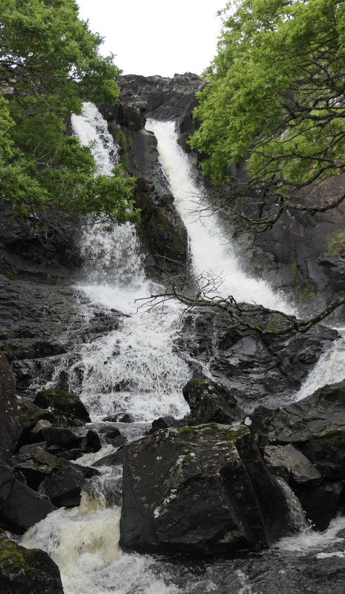 RusselWarren2's tweet photo. Eas Fors waterfall on Isle of Mull. Upper falls, middle falls and lower falls which flow into Loch Na Keal. @rspb @carlbovisnature #mull #scotland https://t.co/oGZu2FMInq