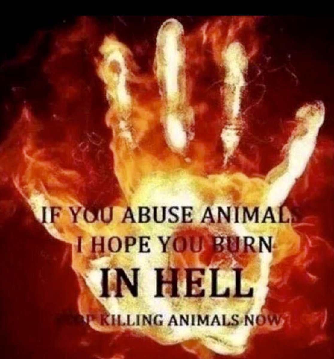 BarbaraSmall07's tweet photo. @HuntSabs 🤬🤬🤬🤬 https://t.co/x9A3ngeyTn