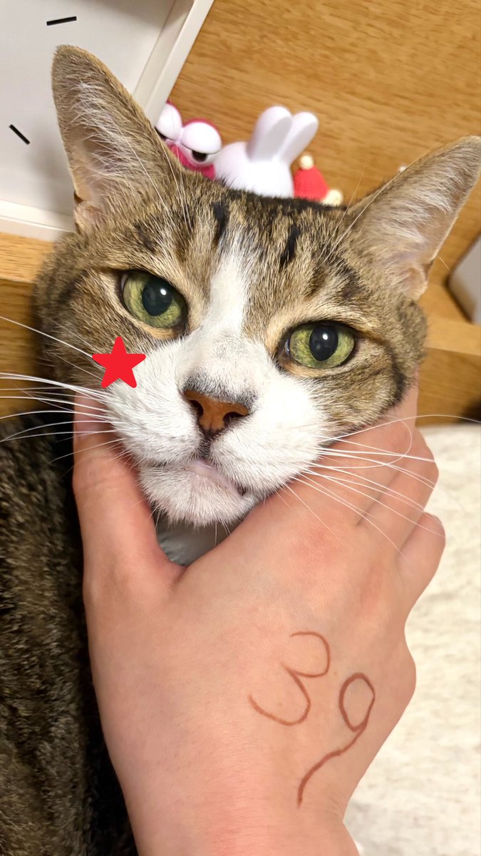 mikkunpyon's tweet photo. https://t.co/0mvv3xn8yJ