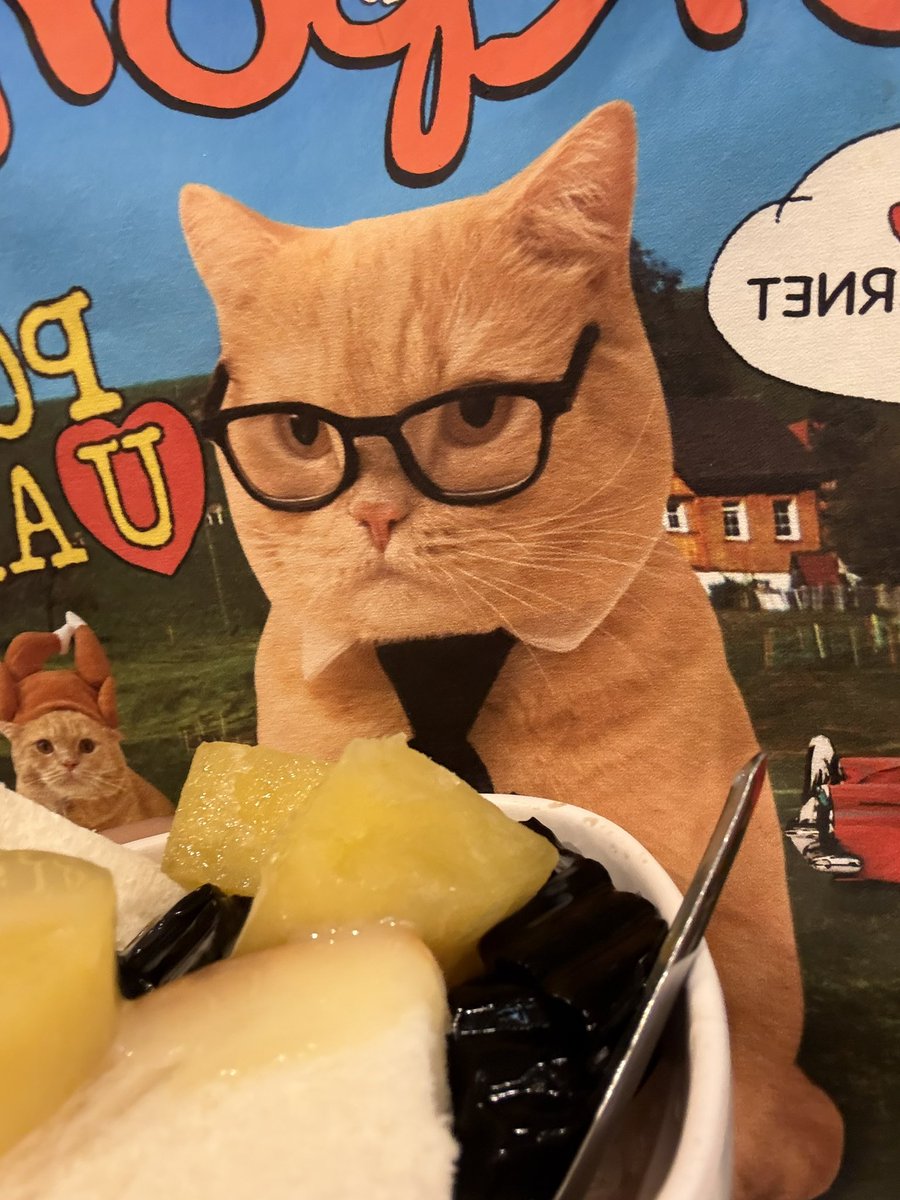 saiczu's tweet photo. ทำไมไม่กินหล่ะป้องงงง 🧐 https://t.co/R5pBFSKPJv