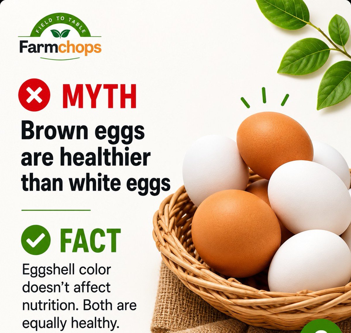 FarmChops_ltd's tweet photo. Swipe through and tell us in the comment section , Which of these myths did you believe before today?

📱 Instagram | Facebook | TikTok: @farmchops_ltd
🌐 https://t.co/wGQJWuyXNy
📧 support@farmchops.com
📞 08066443058

 #HealthyEating #NutritionTips #FoodFacts #EatSmart https://t.co/4jEssZL0T4