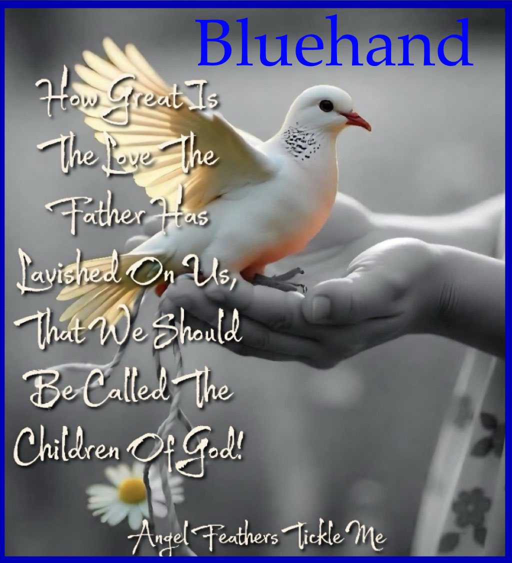BlueDawn_bh's tweet photo. Good Morning #Patriots 🙋‍♀️☕️🇺🇸🌎

Happy Friday…. 😎

How Great is His Love For Us… 🙌🕊️

#Bluehand https://t.co/025uqTos9H