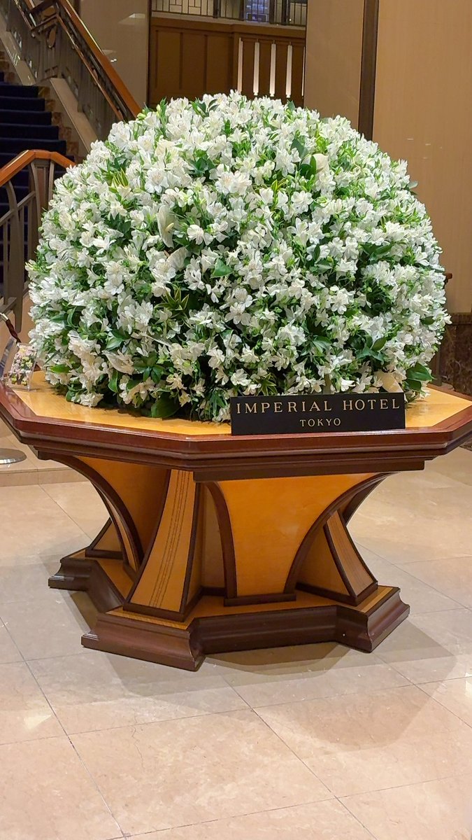hro0_8's tweet photo. デジフェス前日にしてとっておきの1日🥳
w/クルラさん!
めちゃくちゃたのしかったので明日はお肌つやつやです😎 https://t.co/7LMj5DIEHx
