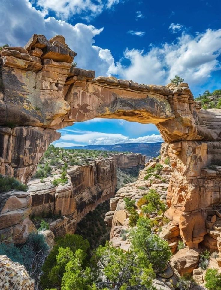 nature_c2ngn's tweet photo. Hickman Natural Bridge located along Utah State Route 24 within Capitol Reef National Park😍😮 https://t.co/pIXOS1PJ8D