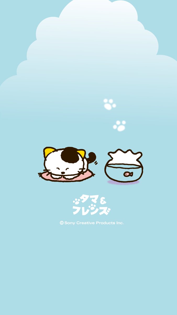 tama_friends's tweet photo. 🥳6月28日はタマの誕生日🎊

それを記念してスマートフォン用の壁紙を3種類プレゼントします👏

ぜひ待ち受け画面に設定してくださいね！

#タマバースデー https://t.co/CGVoxiHzAe