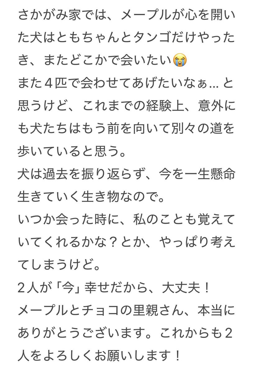 little_mamy_19's tweet photo. 大好きなメープル、チョコ。
長い間ありがとう！

1番大変な子たちやったけど、1番たくさんのことを教えてくれました。
2人と過ごした時間・経験は私を強くしてくれたし、「野犬」と呼ばれる子たちとの向き合い方や成長に携わることができて、本当に幸せな時間でした！

#坂上どうぶつ王国 https://t.co/lYNmXjn9d1