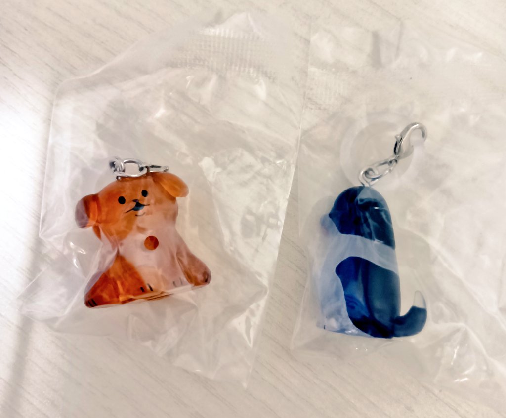 nuonuo_ramune's tweet photo. 【交換】いぬたちゆらゆらマーカー めじるし

【譲】にっこりいぬ
              こいぬ

【求】ながいぬ

郵送交換希望📮
住所等関わるため、同性🚺の方のみの交換募集となります🙇🏻‍♀️ https://t.co/LNbD5akEH0