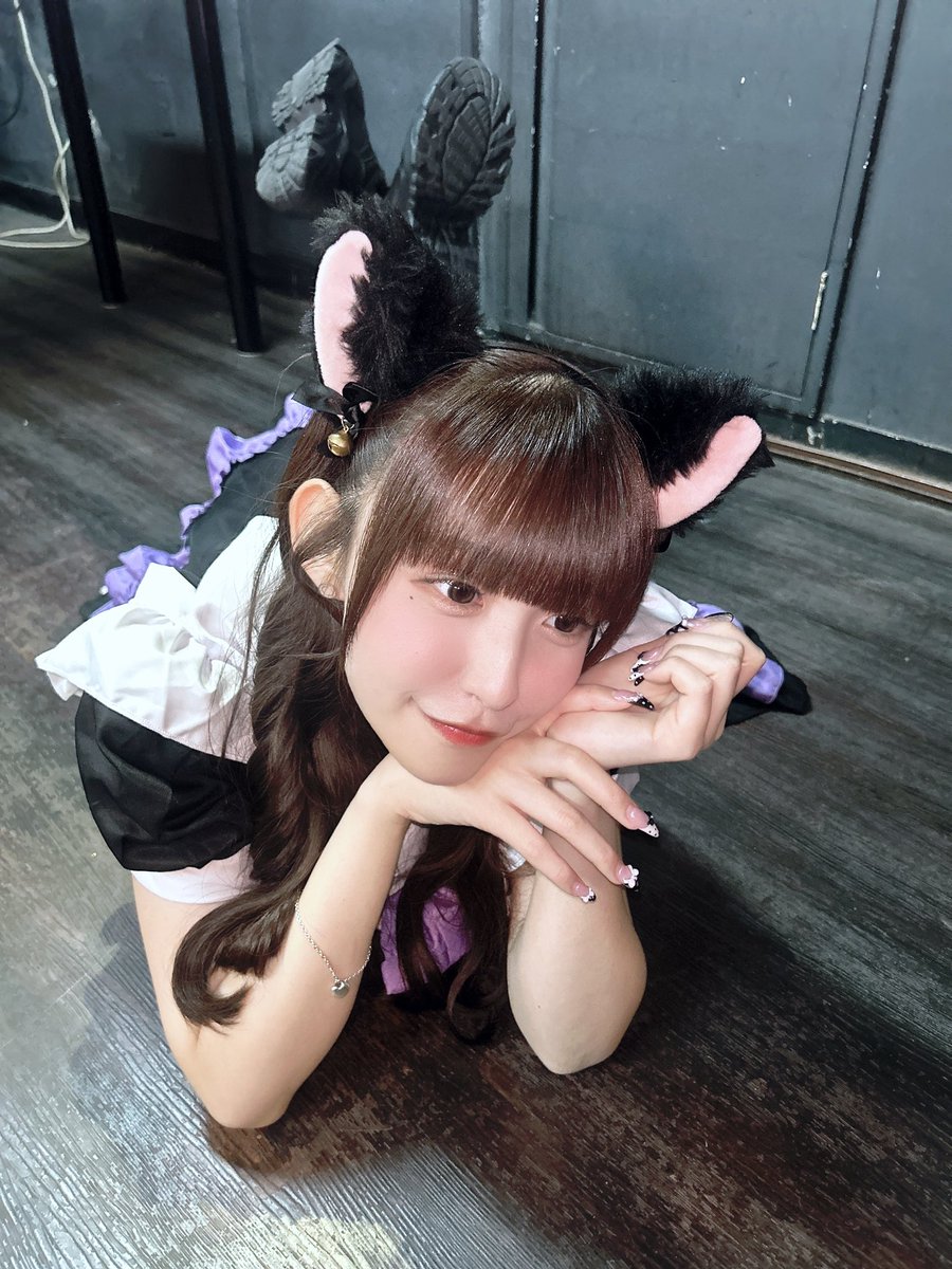 あやにゃんこが現れた❕ ▶︎なでる エサをあげる にげる 甘やかす