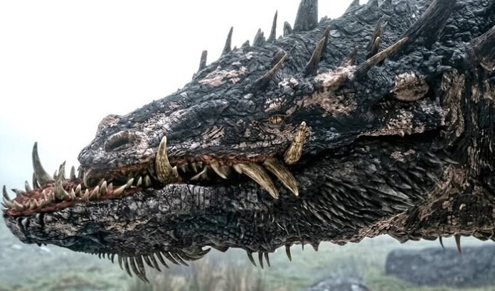 lorxell's tweet photo. Am I the only one who feels like Sheepstealer can take on Vhagar? https://t.co/727TZXpwrF