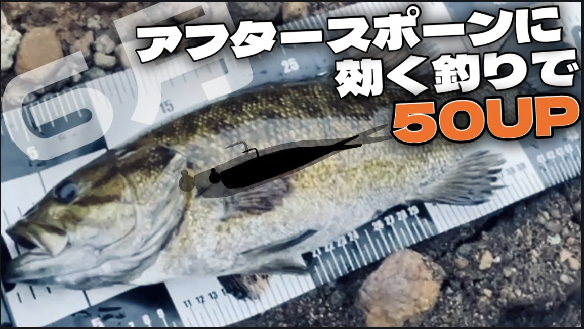 　　キャンセルのため再投稿 投網2つ 渓流