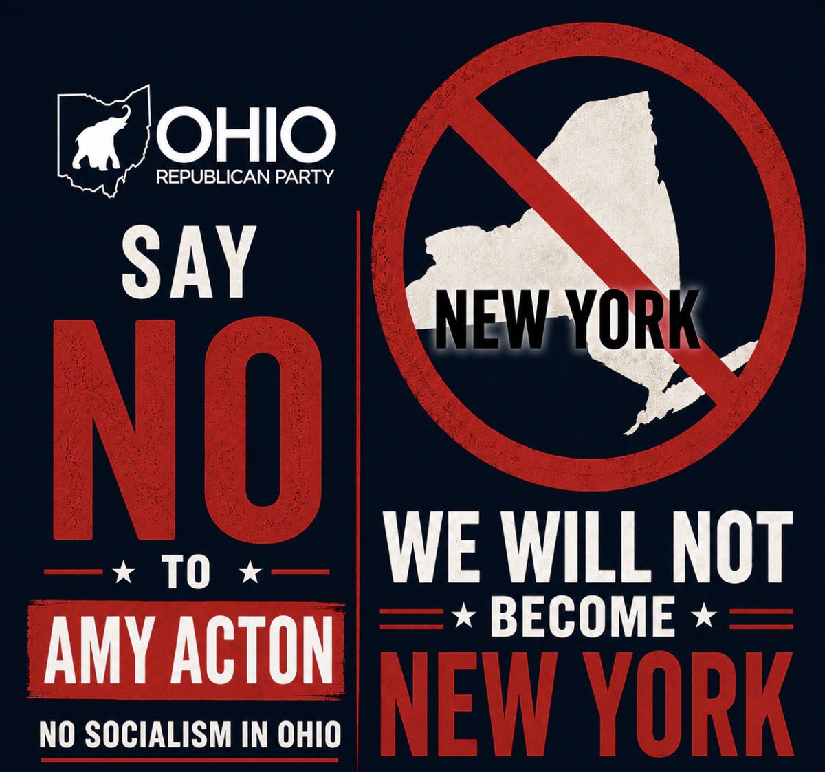 ohiogop's tweet photo. Ohio says NO to Amy Acton! https://t.co/VltY4eNL24