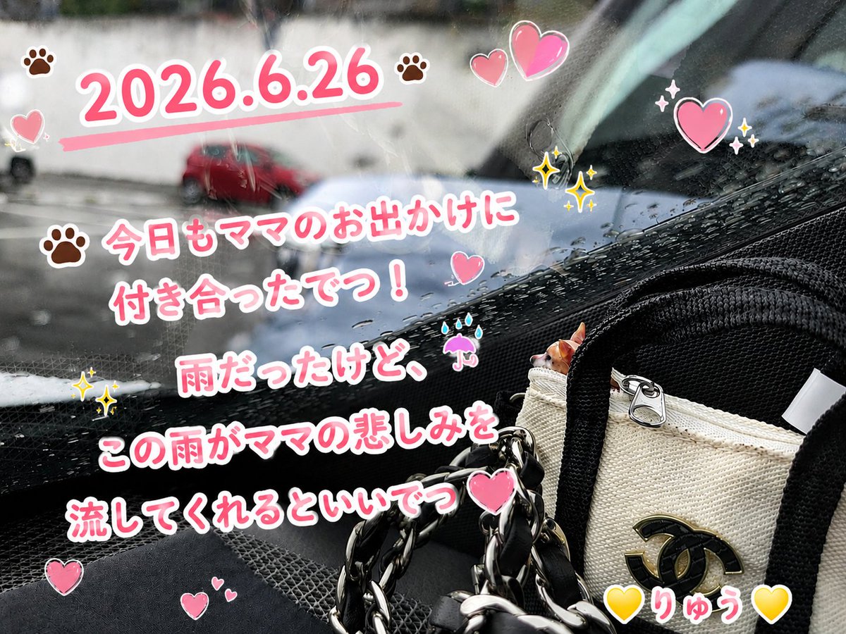 cajulin's tweet photo. 普段家では
お骨をカートに乗せてミニりゅうも乗せて···
洗濯干す時は一緒に、
キッチンに立つ時も一緒に!
今までと同じように連れて回ってます
···っていうか
今まではウザイぐらいりゅうが着いてきてくれていたのにね🥲

ずっとずっと一緒だよりゅう🥰❤️ https://t.co/O4crt3fkwh