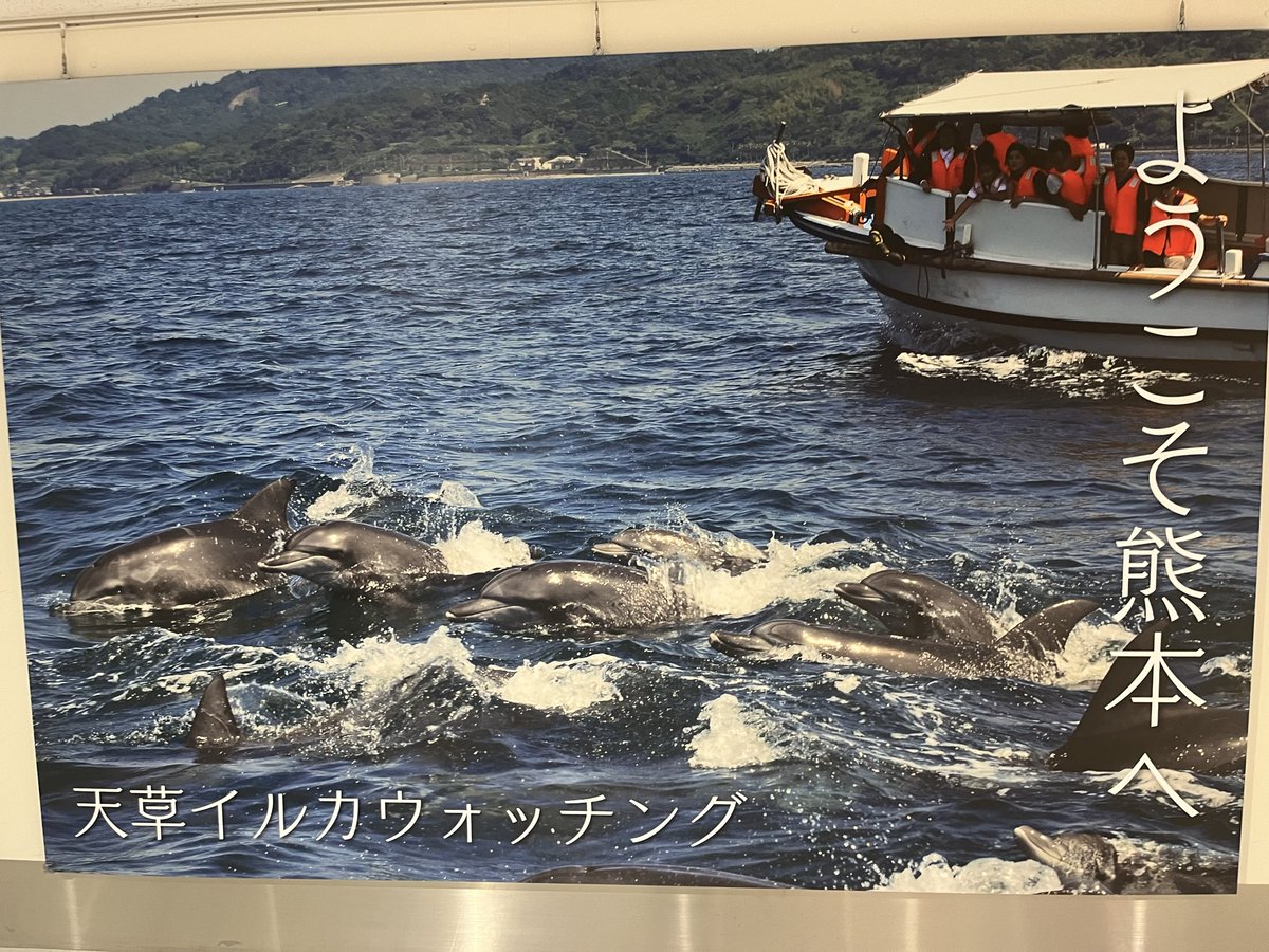 taidadeath's tweet photo. 北海道と間違えて熊本きてしもた🏯 https://t.co/qiv1NBEkVX
