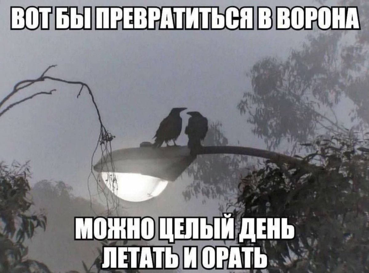 ddomansky tweet picture