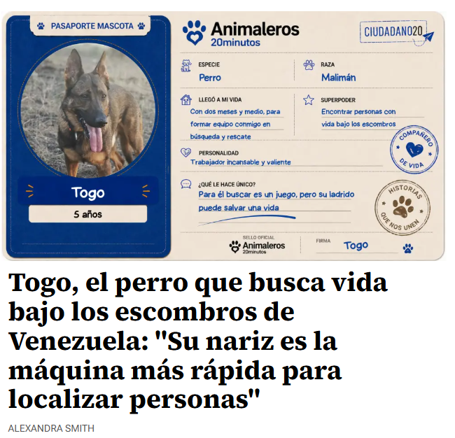 absteve1's tweet photo. @20Minutes Animales increíbles, pero no puedes llevarlos a la playa en verano. @perrosbarcelona @gencat https://t.co/QhUxbcrC5h