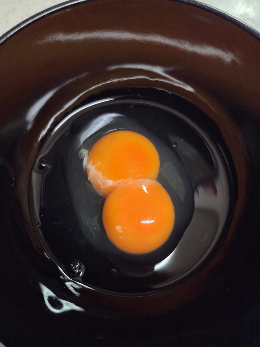 ATSATSATS16's tweet photo. 初めて見た！ https://t.co/0LQb2FQ8Wm