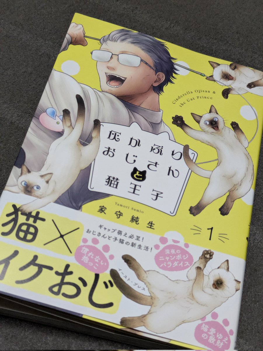 henachocoppe's tweet photo. やっと届いたーー！！！
『買ってよかった✦.˚』
の、一言ですニャฅ^•ω•^ฅ

#灰かぶりおじさんと猫王子 https://t.co/p7EJoXa9Ds
