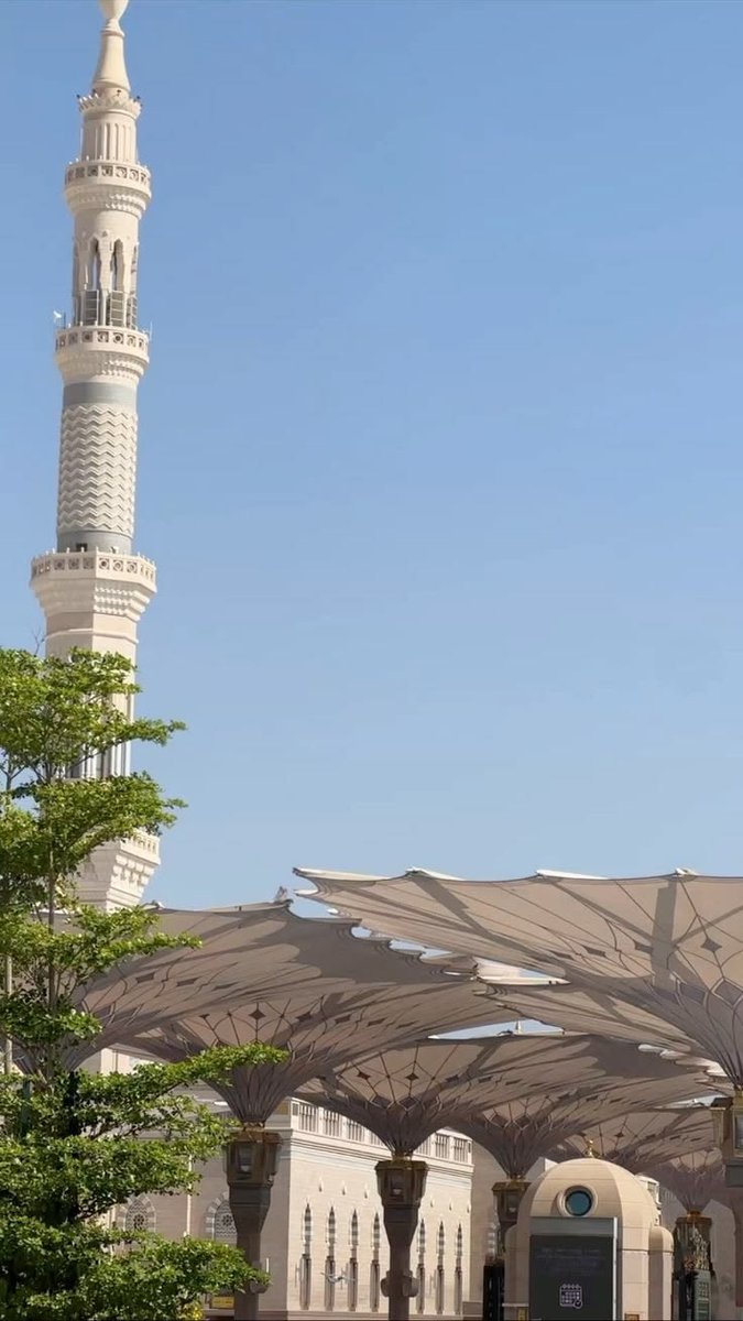 Abdullah_525's tweet photo. #يوم_Iلجمعه #المدينة_المنورة 
﴿ رَوحٌ ورَيحَانٌ وجَنةُ نَعيمْ ﴾

اللهم في يوم #الجمعة برد قبور من فقدناهم والآن ينتظرون منا في قبورهم أبسط الدعوات اللهم أرحم من فقدناهم وارحم موتانا و جميع موتى المسلمين اللهم اغفر لهم و أنر قبورهم واجمعنا بهم في جنات النعيم #المدينة https://t.co/SYmx8DcYZk