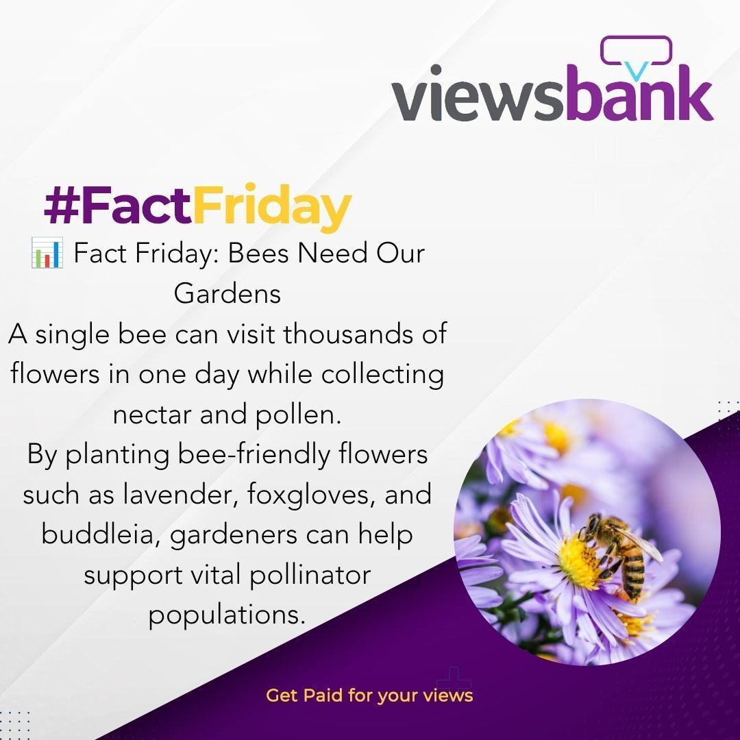 viewsbank's tweet photo. 🌼 Fact Friday

#FactFriday #BeeFriendly #PollinatorPower #WildlifeGardening #GardenFacts #UKGardening #SaveTheBees #NatureLovers #GardeningCommunity 🌱🐝🌸 https://t.co/WXOnJydPU3