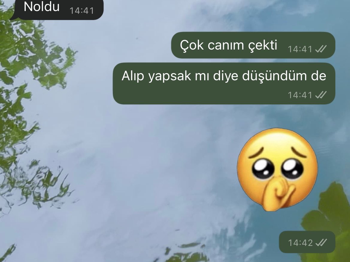 aleynayım tweet media