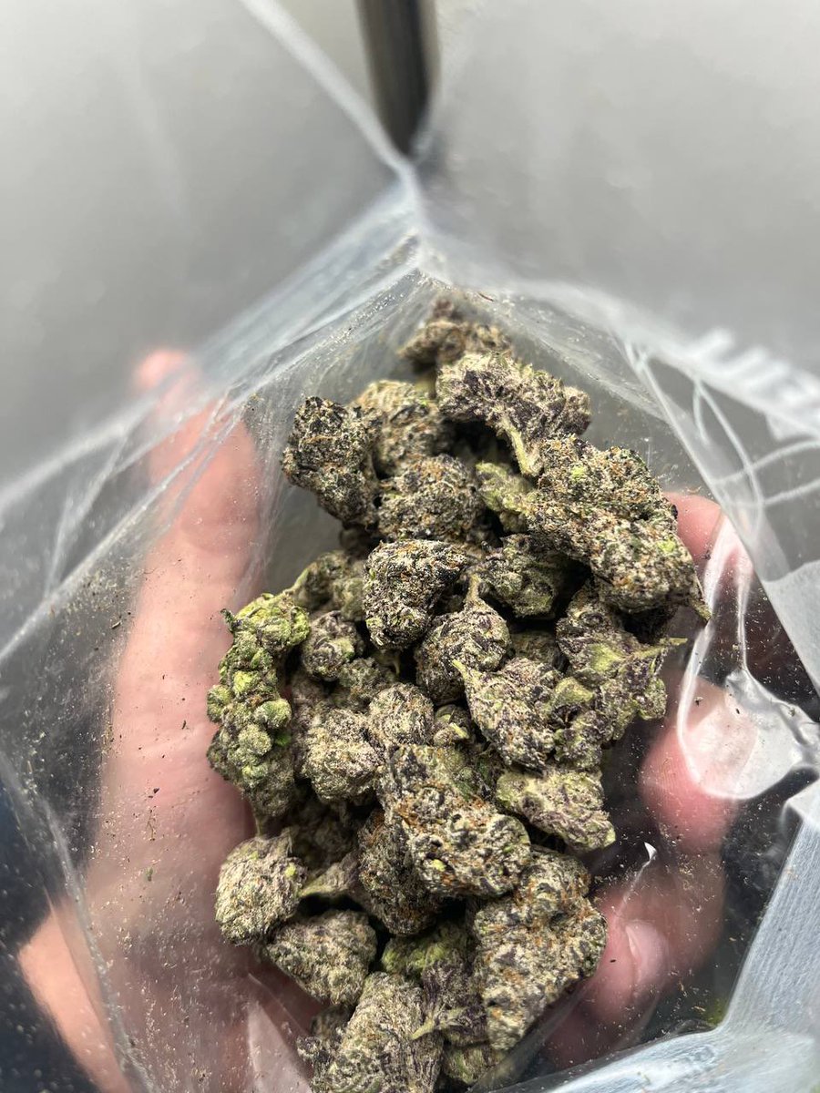 JacksonW39856's tweet photo. Good โฝ๏ธ only fwm if you inna city
#dallas #dtx #plug #Garland #oakcliff #Arlington #htx #dispos #sneakylink #meets #dallastx #dtxplug #satx #freakedout https://t.co/62Cj2fYf6v