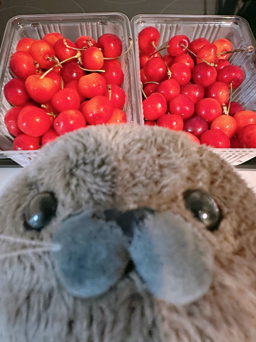trmrmeer's tweet photo. ＼これぜんぶおれしゃまの！／ https://t.co/iKUXm8tctD