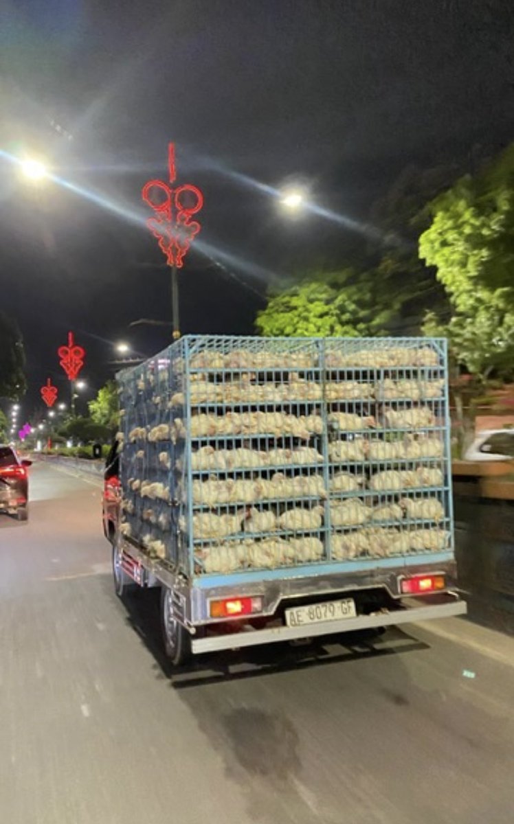 lanangwn's tweet photo. selain aku sangat benci dengan prabowo, aku juga sangat benci naik motor di belakang mobil ayam https://t.co/0IzjZx4cch