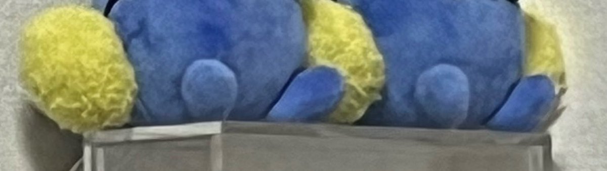 80cm3kg's tweet photo. ワタッコのあんよ https://t.co/J1jFfOOYdm