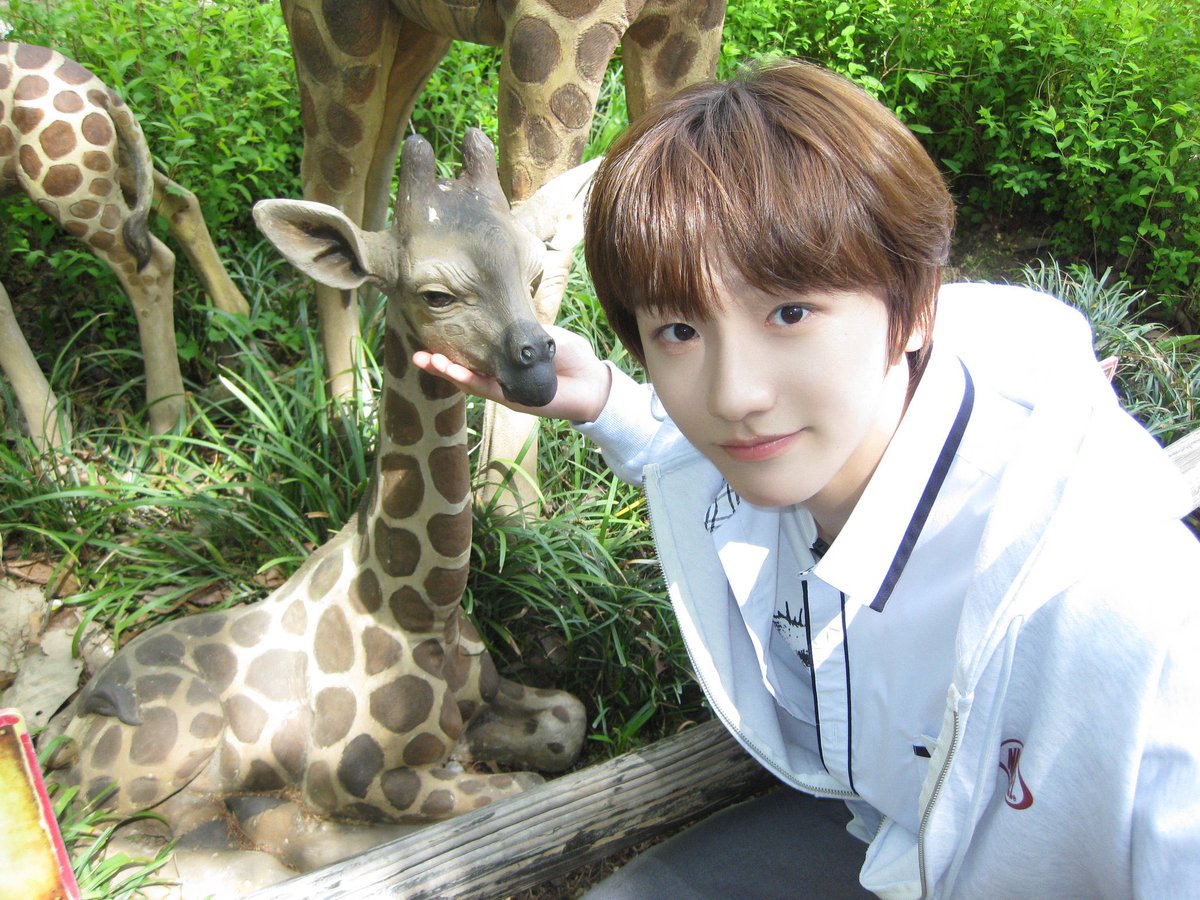 semmkong's tweet photo. 아 뽀송해..........ㅜㅜ https://t.co/bzoMqoKdQo