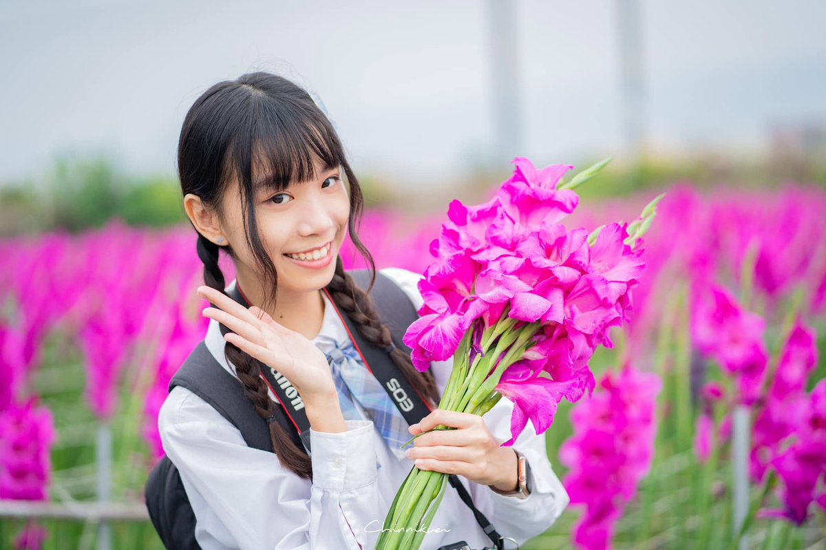 虎斑貓 tweet media