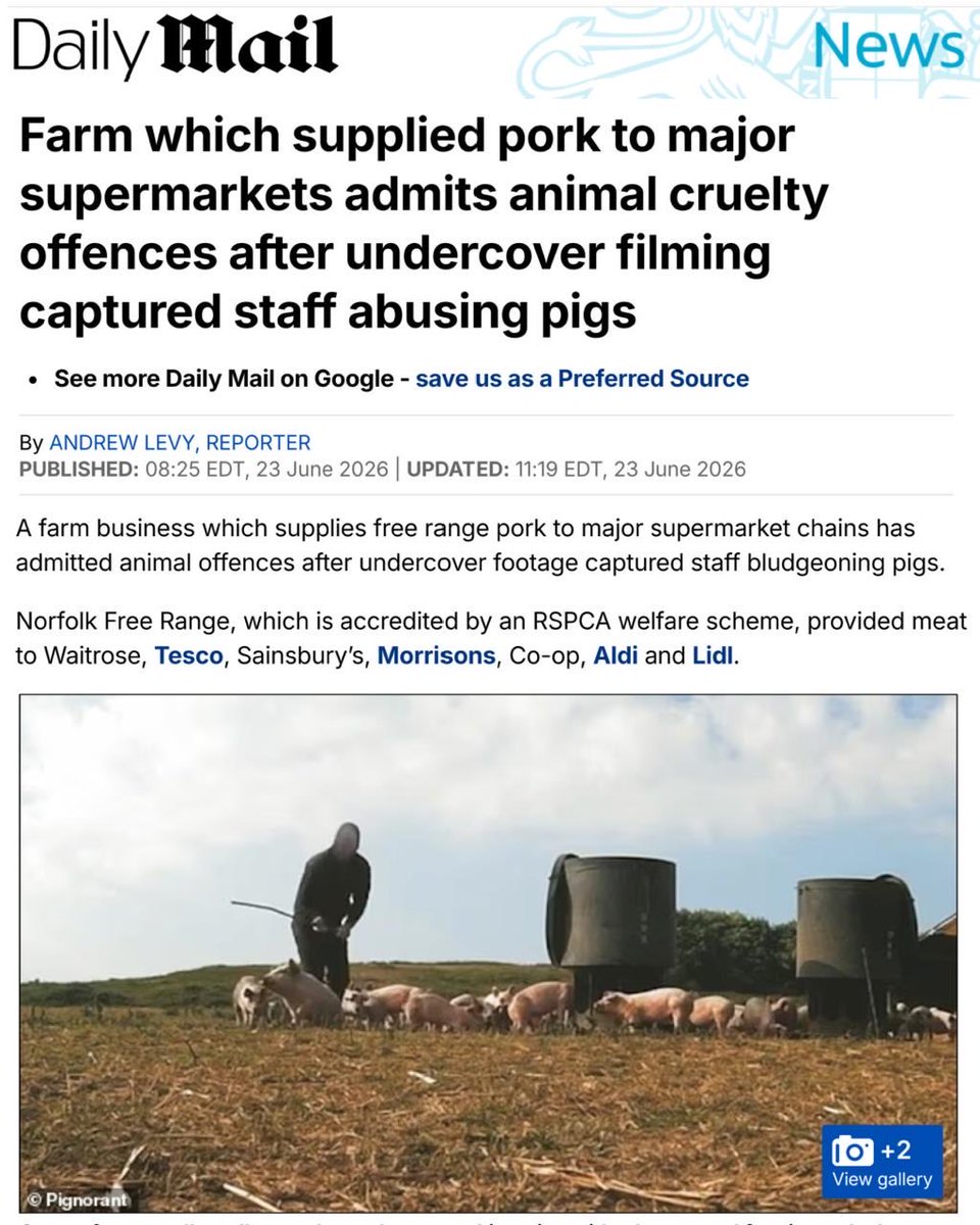 JoeyCarbstrong's tweet photo. Norfolk Free Range Ltd pleaded guilty after our footage showed workers brutally bashing pigs with iron bars (one disabled) The farm supplied Pilgrim's &amp; Cranswick, companies we exposed for torturing pigs in CO2 gas. Sentencing is next month; but I'm pessimistic about the penalty. https://t.co/5UyCK4U7mU